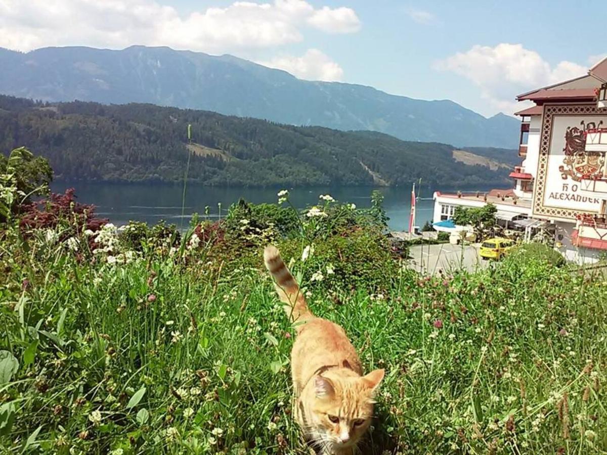 Haus Kraller-Urlaub Mit Seeblick Διαμέρισμα Millstatt Εξωτερικό φωτογραφία