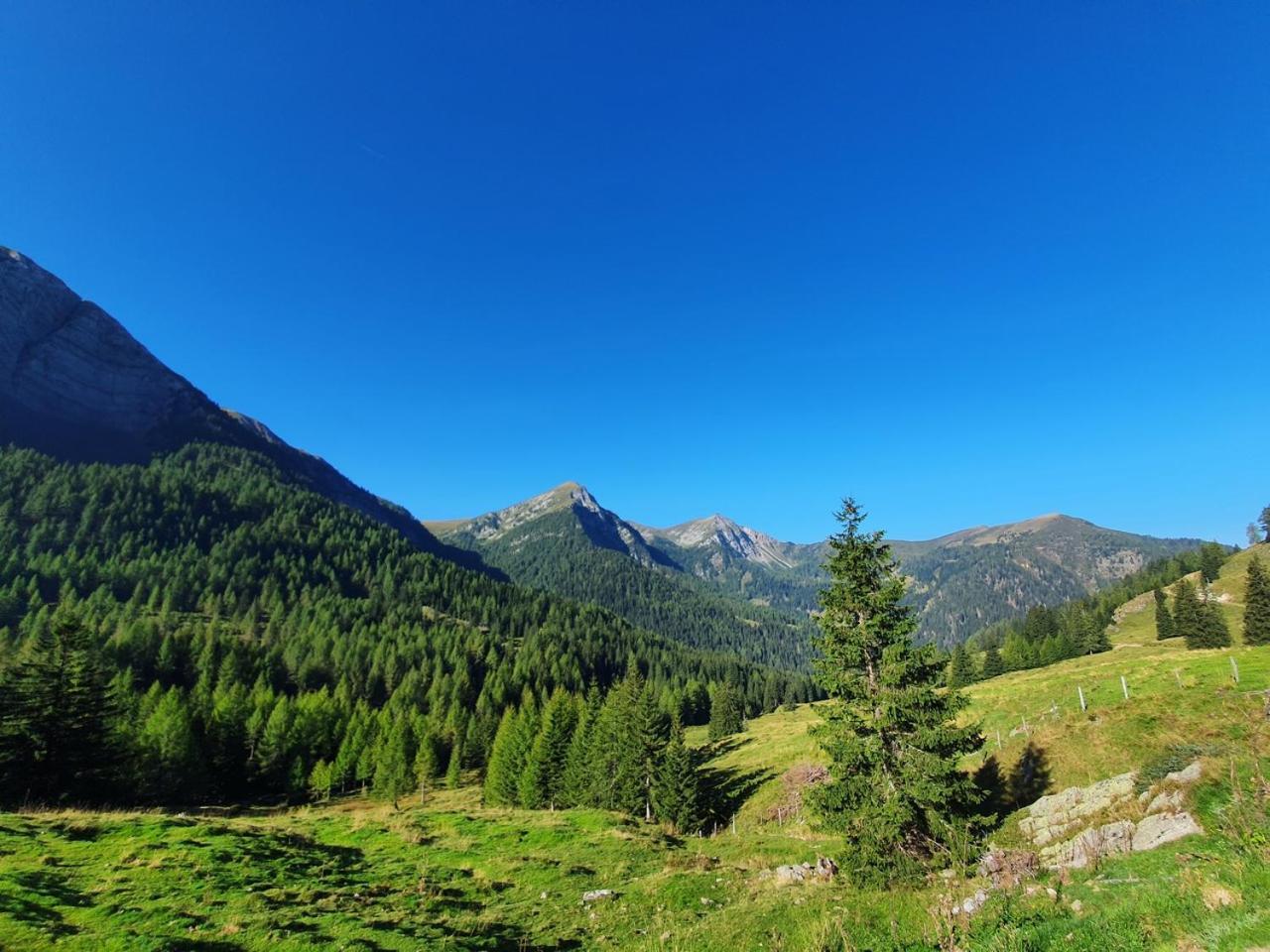 Haus Kraller-Urlaub Mit Seeblick Millstatt Εξωτερικό φωτογραφία