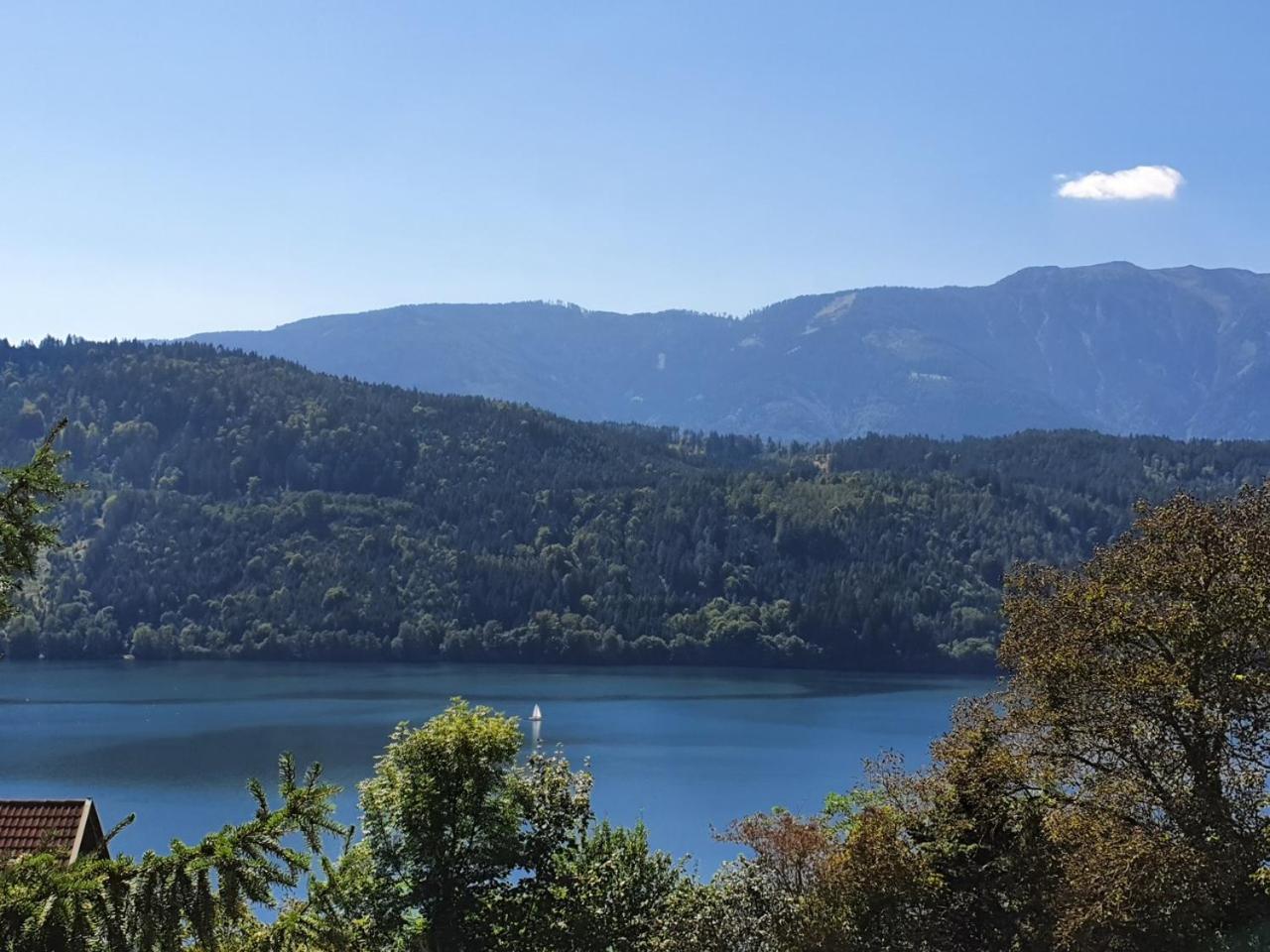 Haus Kraller-Urlaub Mit Seeblick Διαμέρισμα Millstatt Εξωτερικό φωτογραφία